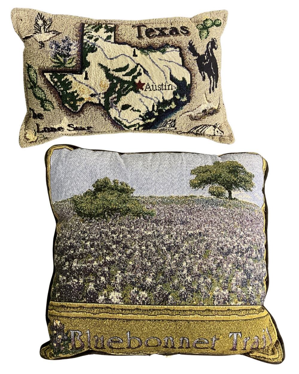 2 Bluebonnet Trail 16X16 Texas Lone Star State 12X8 Tapestry Throw/Lumbar Pillow